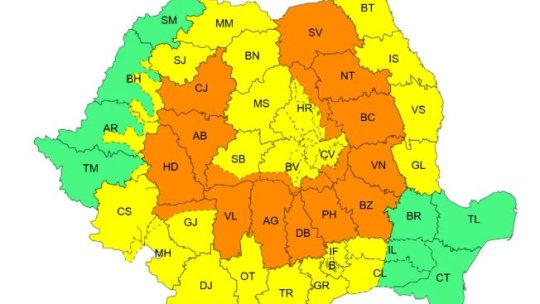 COD PORTOCALIU în zona montană înaltă a județului Brașov