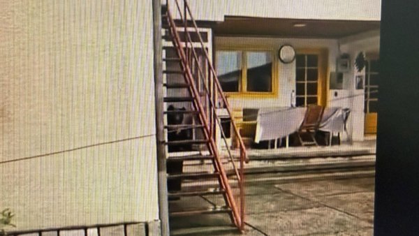 Ursoaica filmată într-o casă din Bușteni a fost împușcată