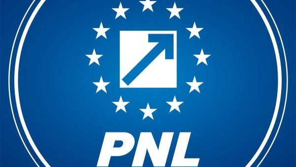 Tensiuni în PNL după desemnarea lui Adrian Veștea pentru funcția de premier