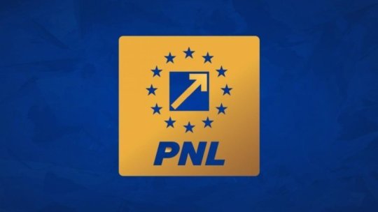 Tribunalul Ilfov a suspendat deciziile PNL privind votarea Guvernului Veștea