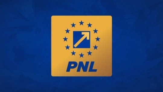 PNL, în linie dreaptă spre Congresul extraordinar