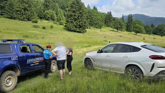 65 de amenzi și zeci de intervenții pentru urși. Bilanțul jandarmilor brașoveni în weekend