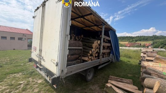 Material lemnos confiscat de polițiștii brașoveni
