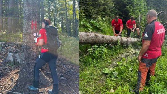Salvamont Brașov, acțiuni de întreținere și verificare a traseelor montane