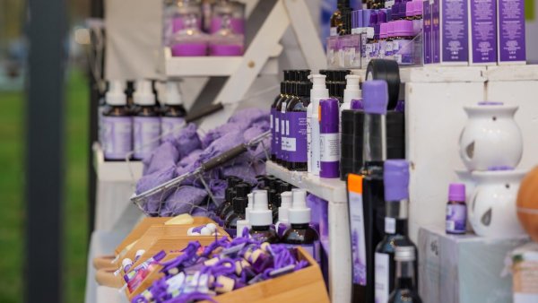 Lavanda Fest revine la Brașov