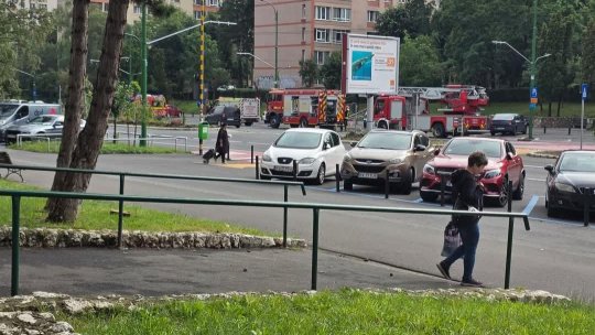 Polițiștii și pompierii, intervenție pe bulevardul Victoriei