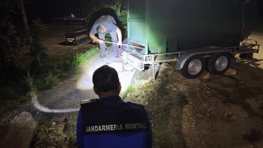 Doi urși au fost extrași marți seara la Râșnov