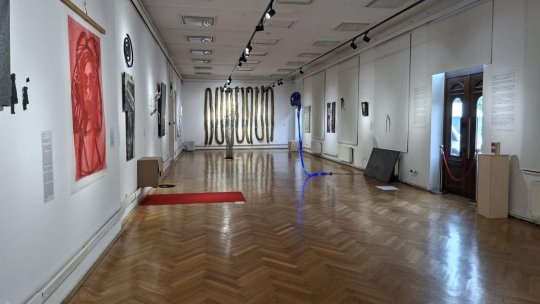 Proiect la Muzeul de Artă