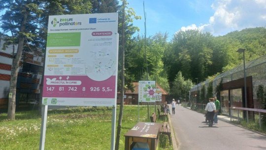 Puț de 300 de metri la Zoo Brașov