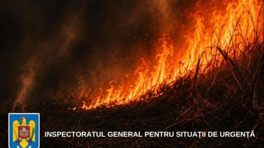 Incendiile de vegetație din județul Brașov, mai multe în primele 6 luni din 2026 decât în tot anul 2025