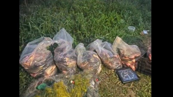 Dosar penal deschis după ce doi bărbați au fost prinși cu peste 230 de kilograme de pește în mașină | VIDEO