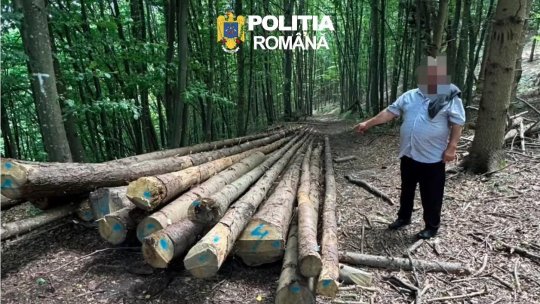 Rețineri după percheziții la un ocol silvic | VIDEO