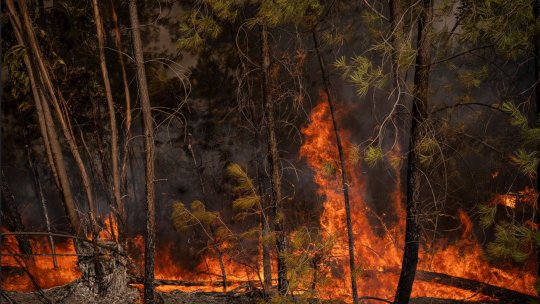 31.000 de hectare au ars în apropiere de Huelva, în sudul Spaniei