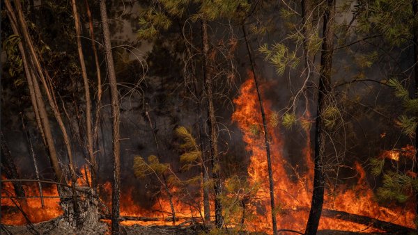 31.000 de hectare au ars în apropiere de Huelva, în sudul Spaniei
