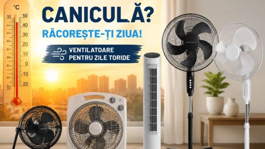 Ventilatoarele nu mai sunt eficiente în caz de caniculă extremă