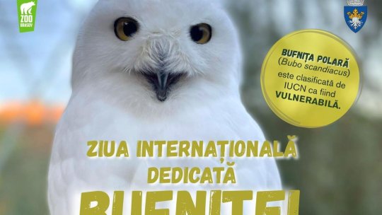 Ziua Bufniței, la Zoo Brașov