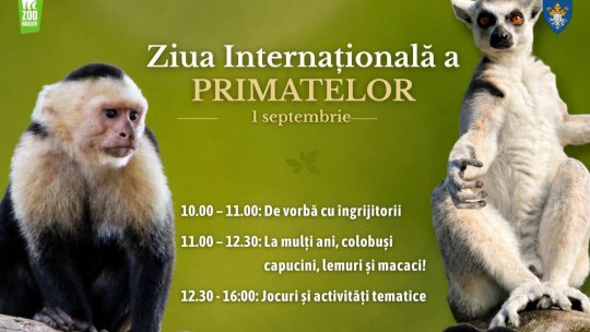 Ziua Primatelor la Zoo Brașov