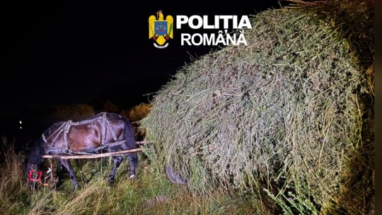 2 bărbați din Zărnești, reținuți după ce au furat aproape două tone de cartofi