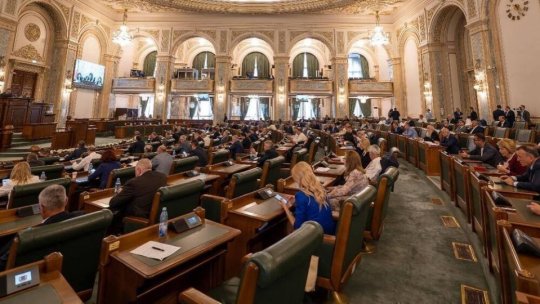 Proiectul privind integritatea, la Senat
