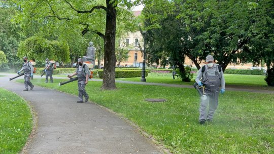 O nouă etapă de dezinsecție și tratamente fitosanitare în municipiul Brașov