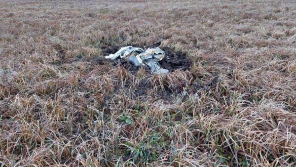 Dronă căzută în extravilanul comunei Viişoara din judeţul Vaslui