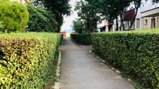 Continuă lucrările de modernizare în Uzina 2
