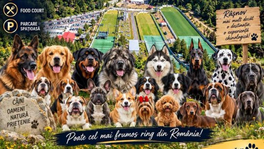 Râșnovul găzduiește Expoziția Canină Internațională
