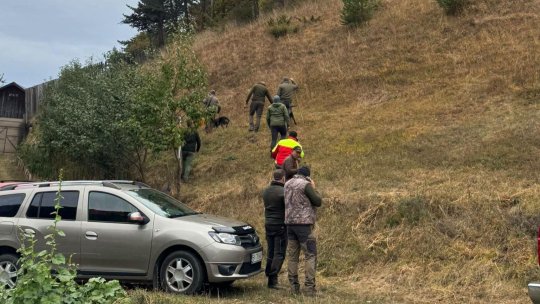 Râșnovul în alertă din cauza unei ursoaice și puilor ei