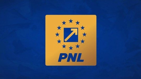 PNL a validat programul de guvernare și miniștri propuși pentru Cabinetul Mureșan