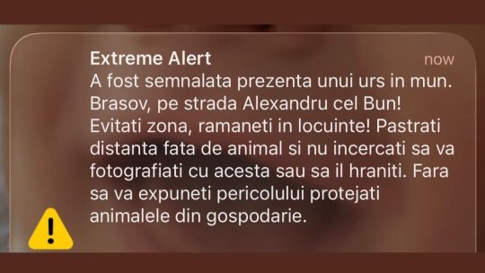 Urs pe strada Alexandru cel Bun din Brașov. A fost emis mesaj Ro-Alert