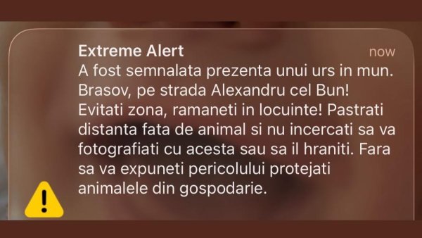 Urs pe strada Alexandru cel Bun din Brașov. A fost emis mesaj Ro-Alert
