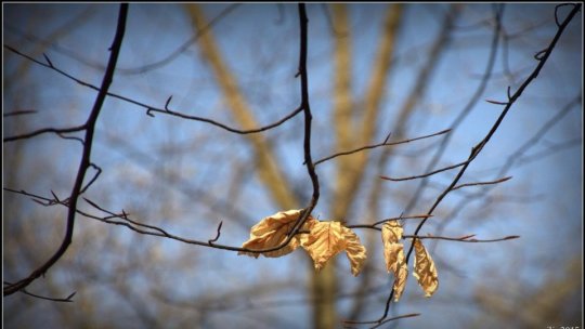 Vreme schimbătoare la nivelul întregii țări, în următoarele două săptămâni