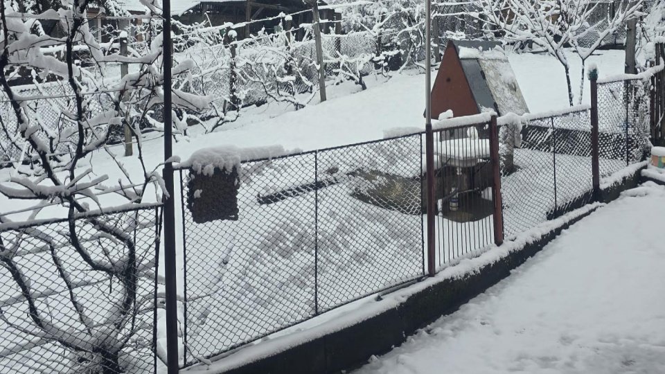 Mai mulți brașoveni, amendați pentru că nu au curățat zăpada din fața proprietăților