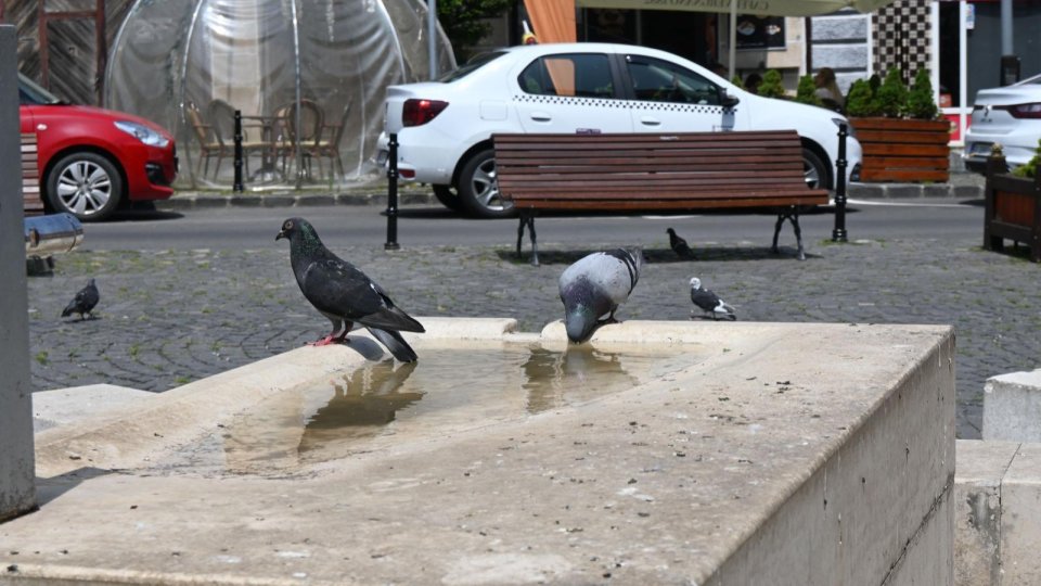 Canicula va traversa treptat toată ţara până miercuri