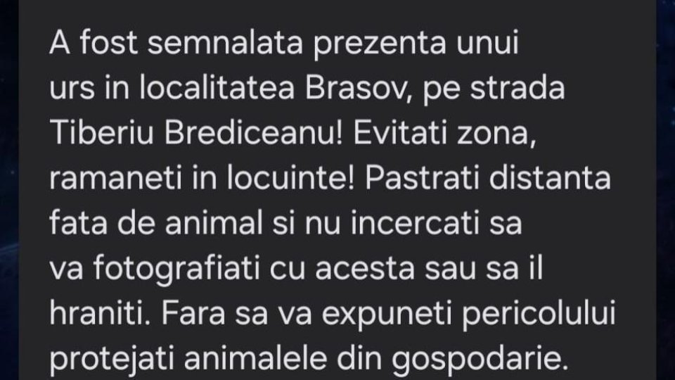 RO-Alert: Urs pe Aleea Tiberiu Brediceanu