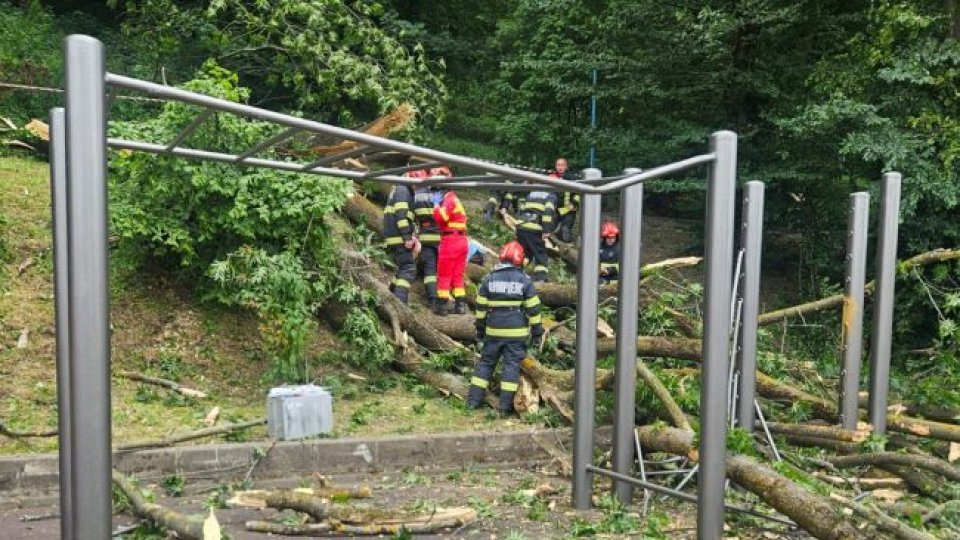 Dosar penal după tragedia de pe Aleea de sub Tâmpa