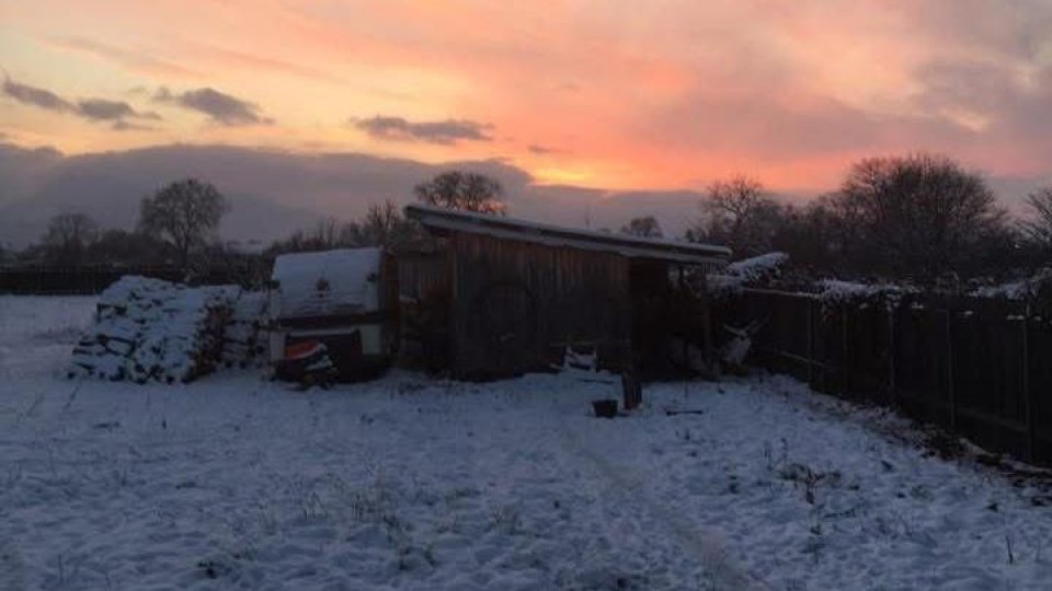 Aproape 14 milioane de lei pentru încălzirea cu lemne în județul Brașov