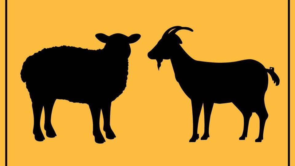 Carantină sanitar-veterinară 30 de zile pe întreg teritoriul ţării pentru izolarea pestei porcine africane și pestei micilor rumegătoare