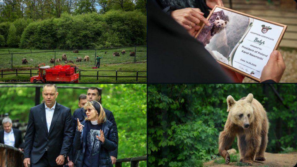 Președintele Poloniei, Karol Nawrocki, a vizitat Sanctuarul Libearty Zărnești și l-a adoptat simbolic pe ursul Batyr