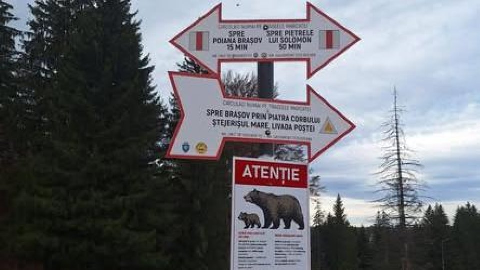 Panouri informative pentru siguranța turiștilor amatori de plimbări în natură