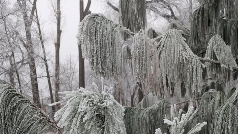 -18 grade Celsius, marți dimineața, la Întorsura Buzăului