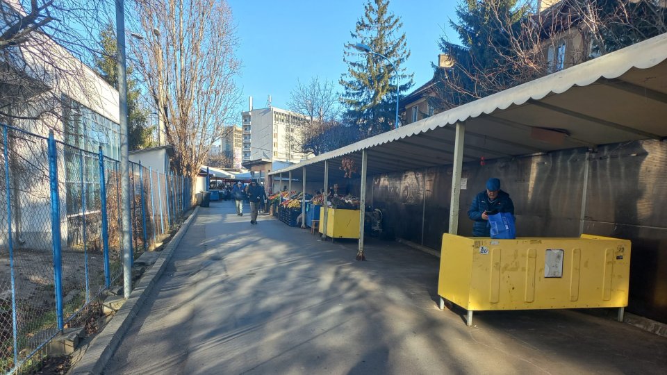 Deși se pot vinde, brazii de Crăciun nu au apărut în piețe