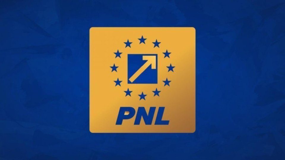 Tribunalul Ilfov a suspendat deciziile PNL privind votarea Guvernului Veștea