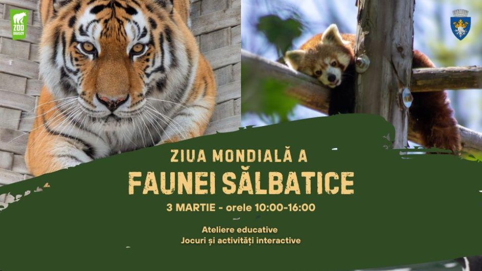Ziua Mondială a Faunei Sălbatice va fi sărbătorită la Zoo Brașov