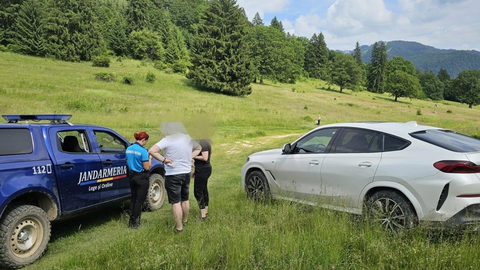 65 de amenzi și zeci de intervenții pentru urși. Bilanțul jandarmilor brașoveni în weekend