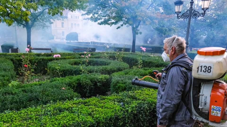 O nouă campanie de deratizare în municipiul Brașov