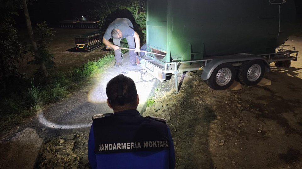 Doi urși au fost extrași luni seara la Râșnov