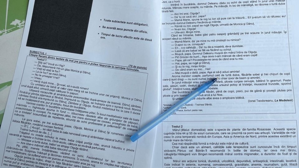 Elevii din Brașov, nemulțumiți de subiectele de la simularea Evaluării Naționale