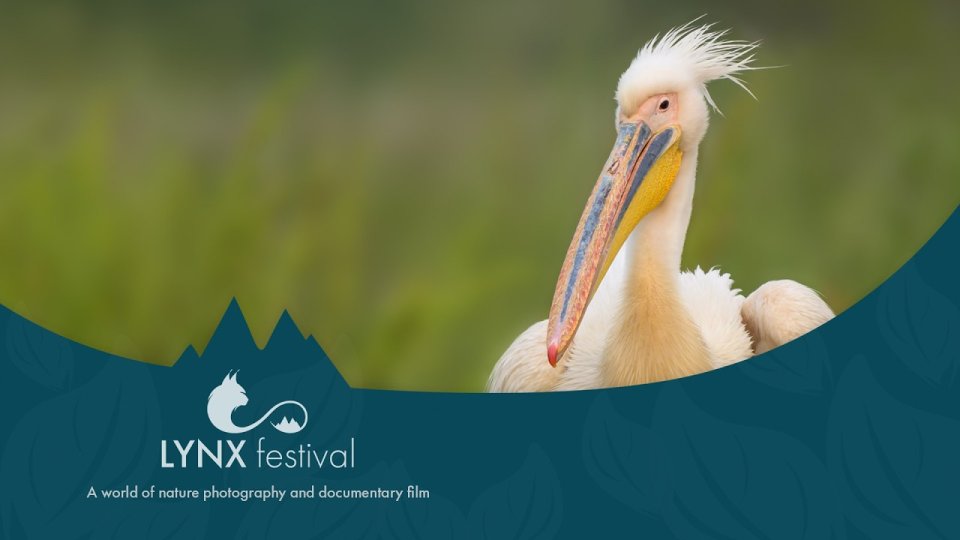 10 filme documentare despre natură, prezentate în premieră la LYNX festival