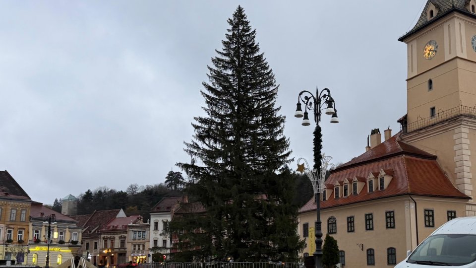 VIDEO+FOTO Bradul de Crăciun a ajuns în Piața Sfatului